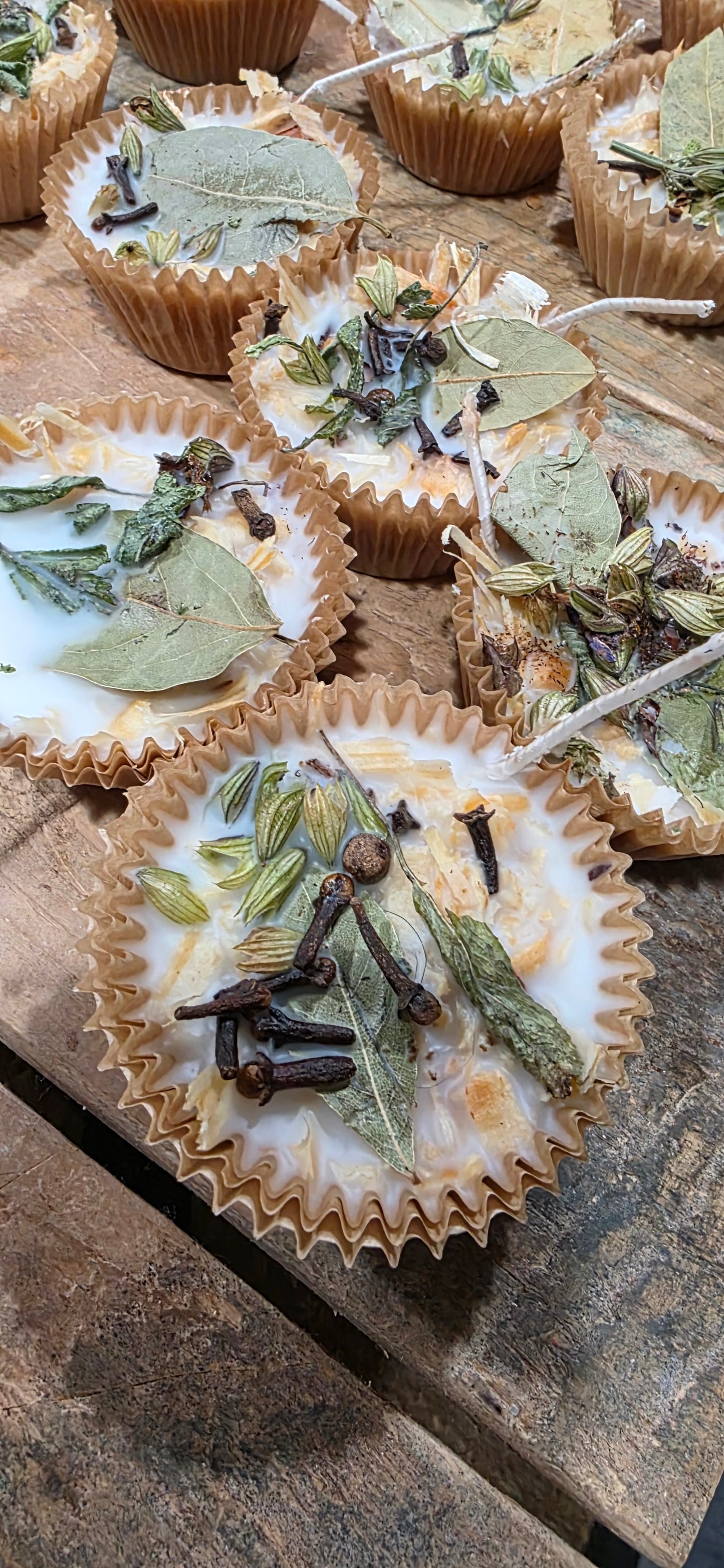 Pineapple Sage Citronella Firestarters | Natural Botanical Fire Starters | Campfire & Fire Pit Starter | Mosquito Repellent Fire Starter | Set of 6