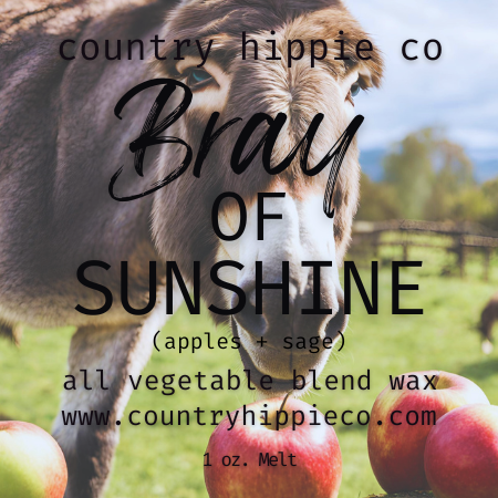 Bray of Sunshine (Sage + Apple) 1 oz Wax Melts Mini Sampler Pack