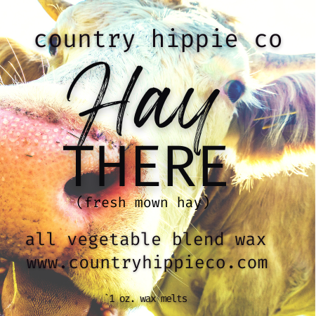 Hay There - Hayride 1 oz Wax Melts Mini Sampler Pack